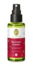 Sternentraum Raumspray bio 50 ml