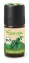 Pfefferminze* kbA 5ml Würzessenz