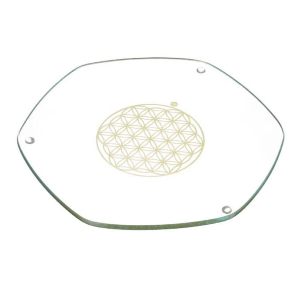 Energy plate gross (22cm)