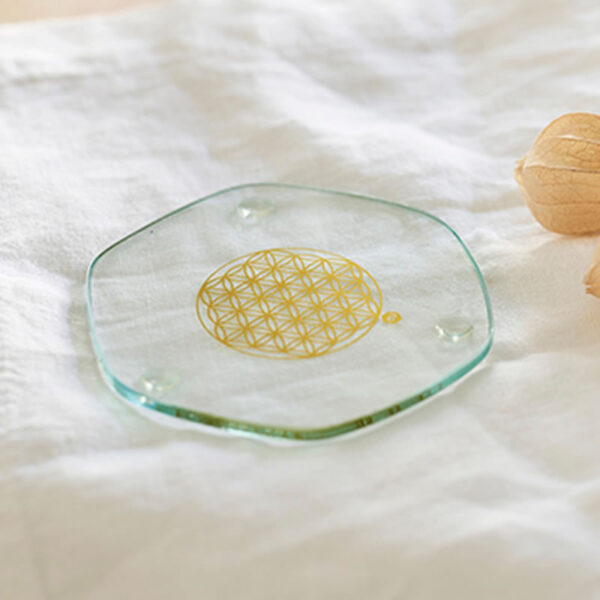 Energy plate klein (9cm)