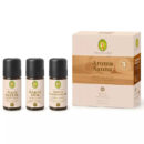 3er Set Aroma Sauna Kraft & Ruhe von Primavera