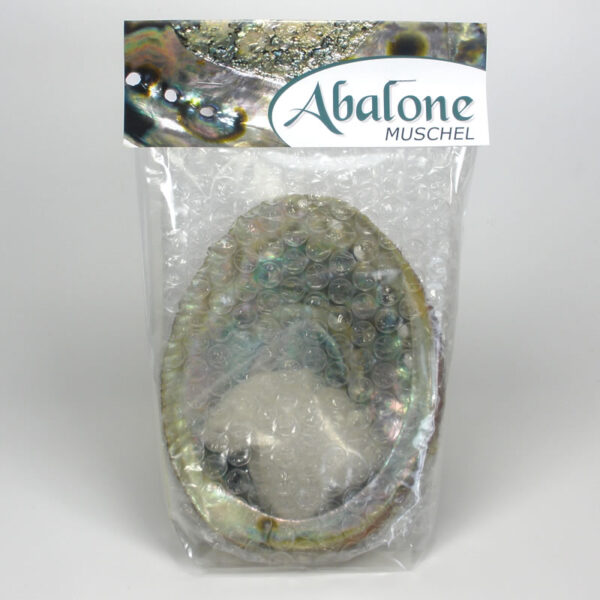 Abalone Muschel verpackt mit 100g Sand