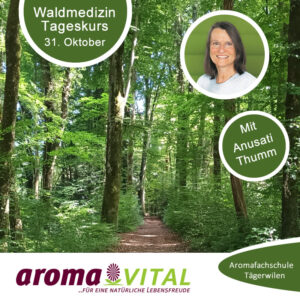 Tageskurs - Waldmedizin (31.10. 2025)
